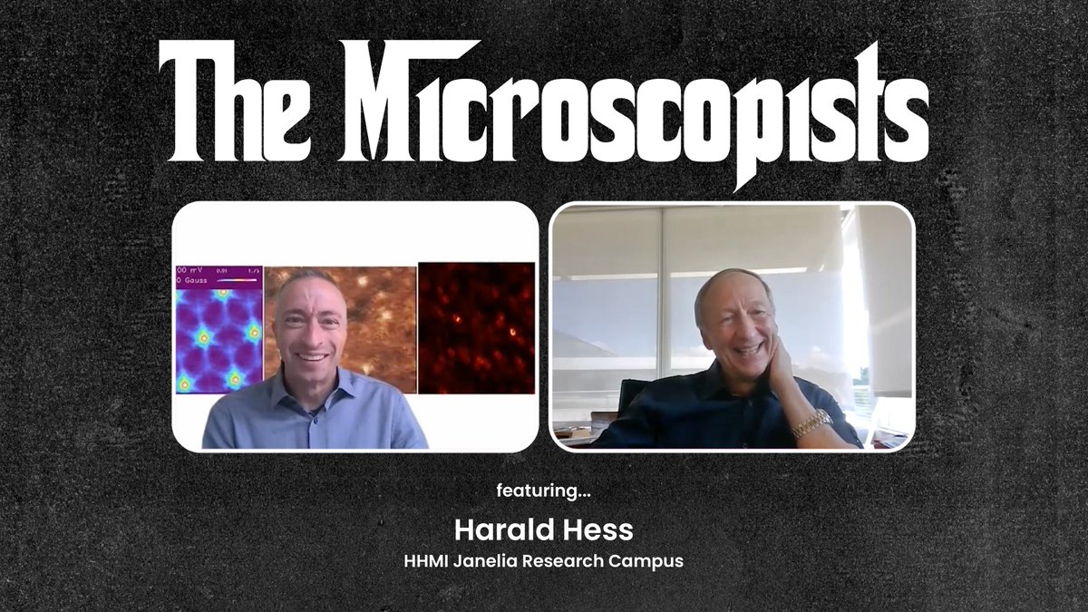 Some incredible #TheMicroscopists moments! Harald Hess @HHMIJanelia, pioneer in light & EM. What inspired him to go from academia-industry-academia? Who wins when he plays @EricBetzig at tennis? What did his mom thin of his first PALM images? Watch/Listen:bit.ly/microscopists-…