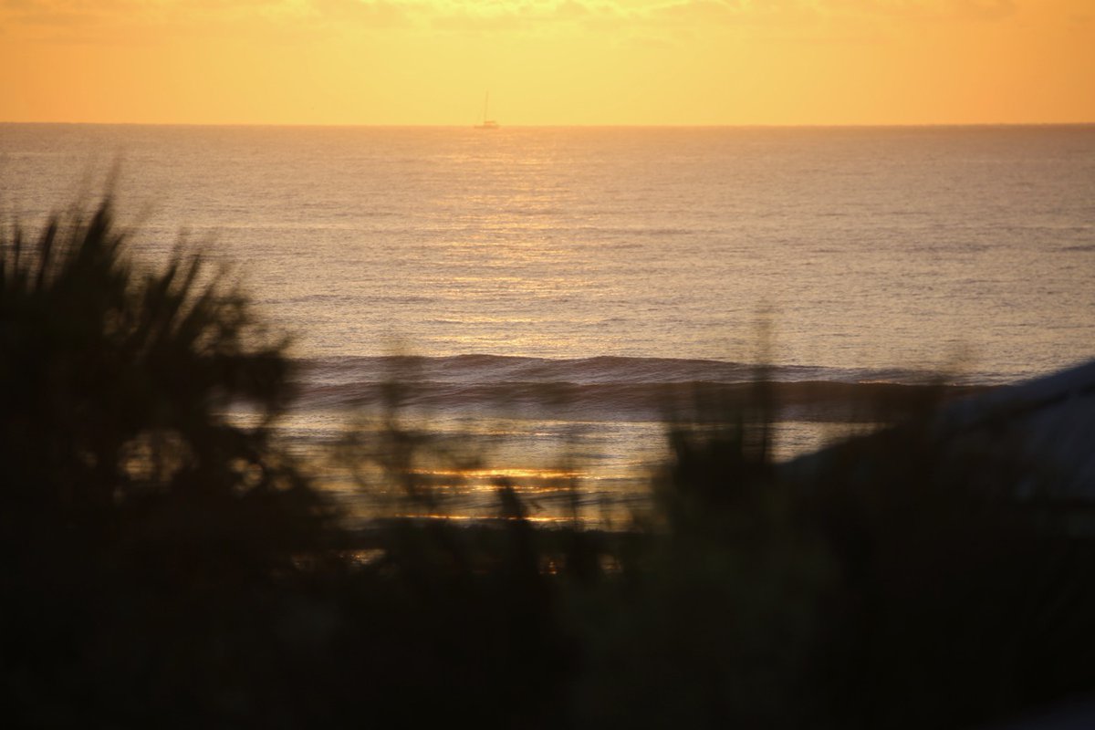 The Surf Station tweet media