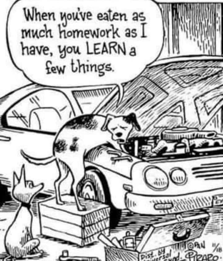 EASAUTO's tweet photo. A Friday funny for you to lighten things up. https://t.co/1Lwu4Brw2x