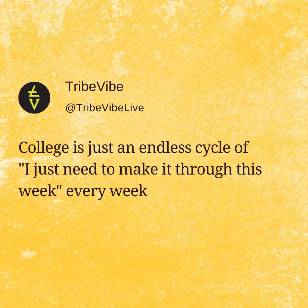 TribeVibeLive's tweet photo. Making through this week slowly and steadily 🥲

Do you relate with me? 😝

#TribeVibeMemes #MemeTribe #TribeVibeComedy #ComedyTribe #TribeVibeLive #TribeVibe #StudentLife #StudentMemes #Student #CollegeWeek #College #FridayVibes #WeekdayWin https://t.co/AinliT8ioO