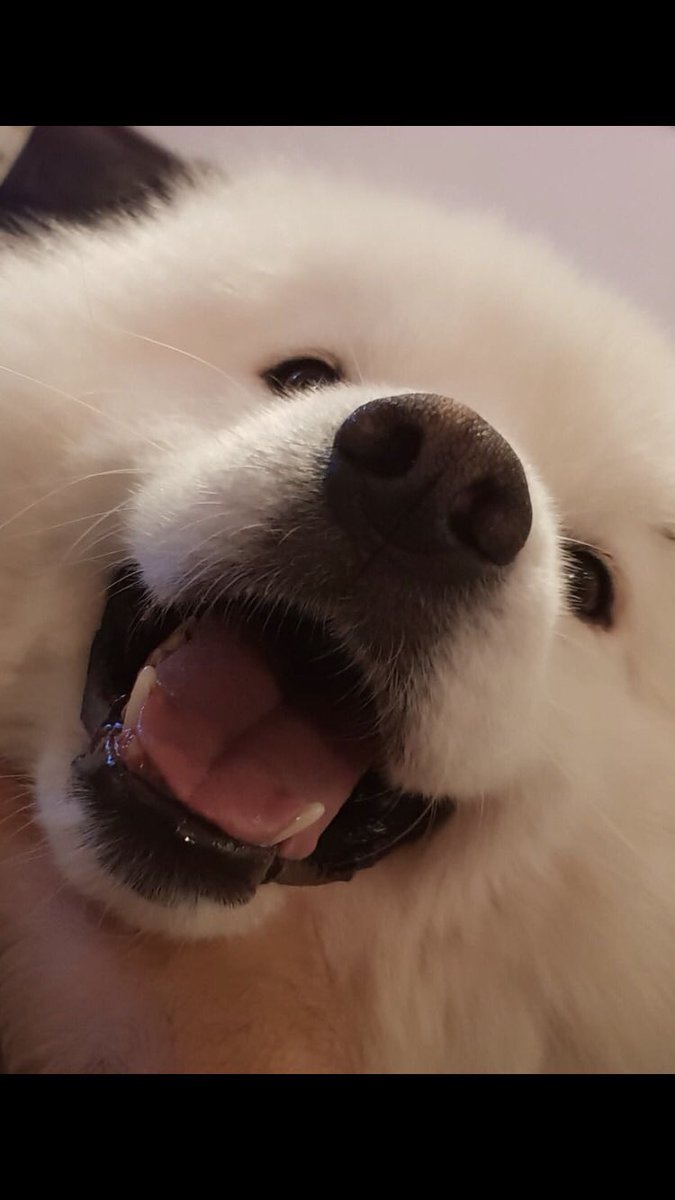 Mandy singer tweet media