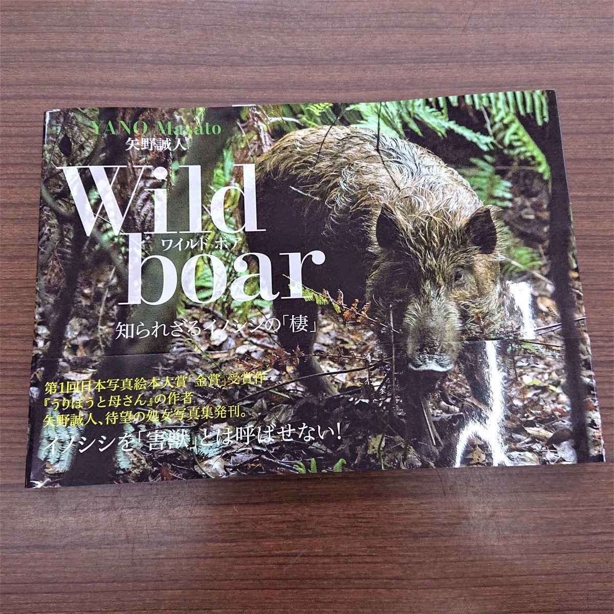 大空出版 日本写真絵本大賞 Ozora Shuppan Twitter