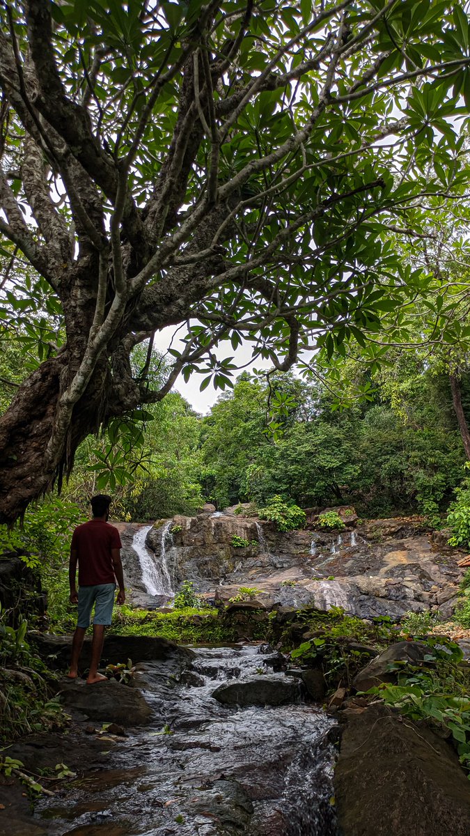 manncyclopedia's tweet image. Water is the most perfect traveller because when it travels it becomes the path itself!