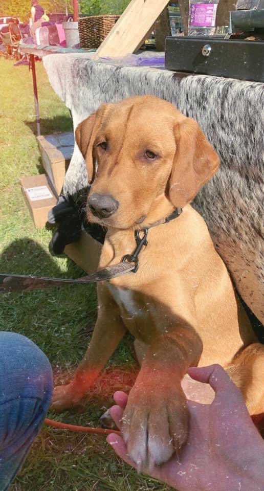 the day we got him and now… 🥺🥺