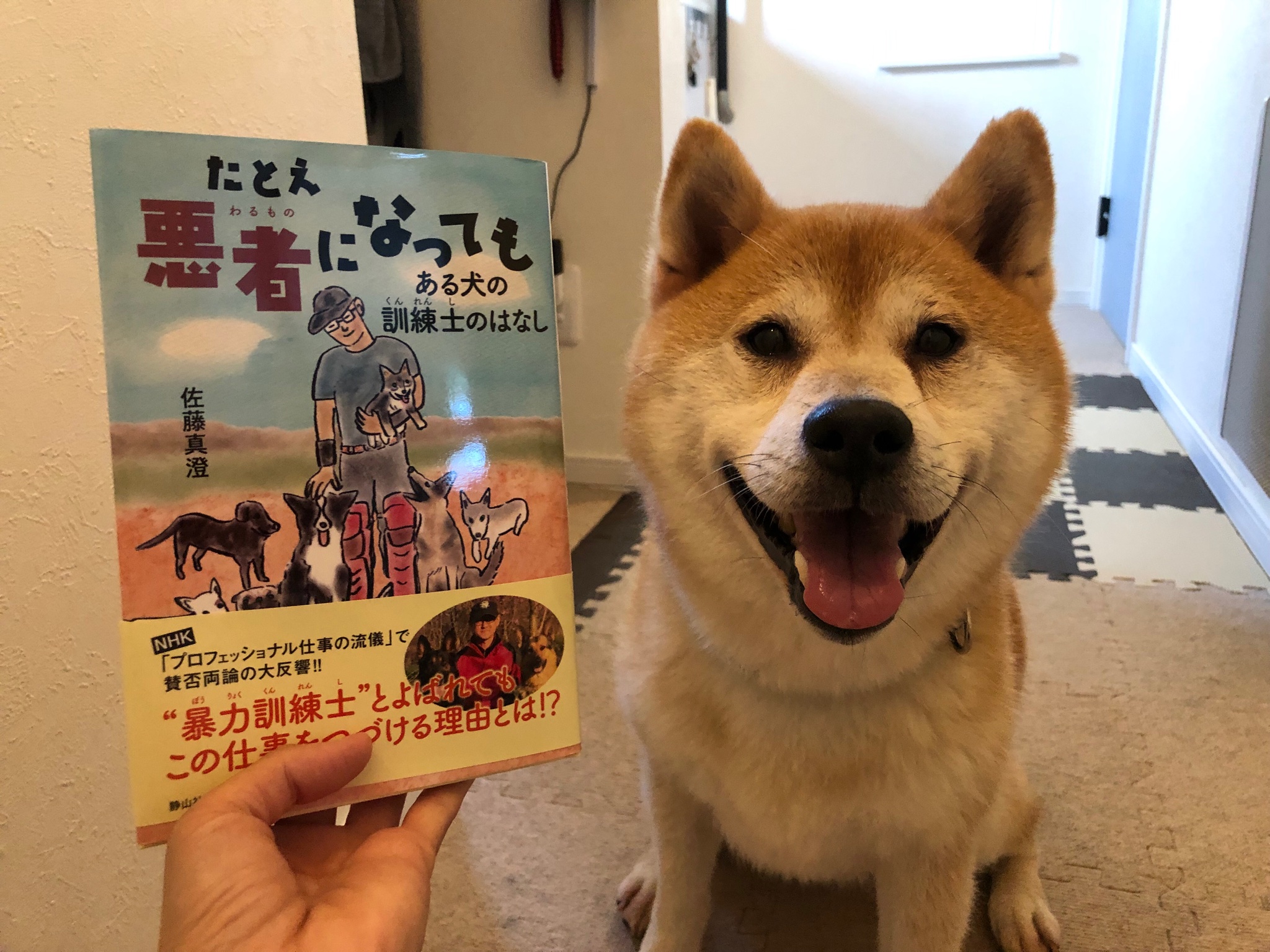 北栃木愛犬救命訓練所 Twitter Search Twitter