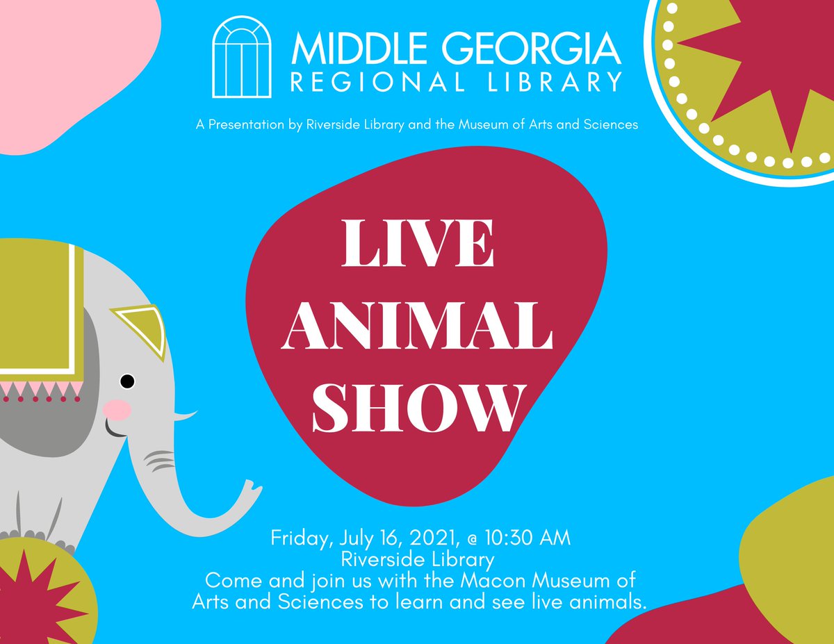 MGRLibraries's tweet photo. We don't want to be OWL ๐ฆ by ourselves at the Live Animal Show today at Riverside LIbrary! This is the last day for the Birds of Prey show with the Museum of Arts and Sciences at 10:30 am. Hope to see you there! #MASMacon #TailsandTales #GeorgiaLibraries #georgia #library #SRP https://t.co/W18Vin2Vzz