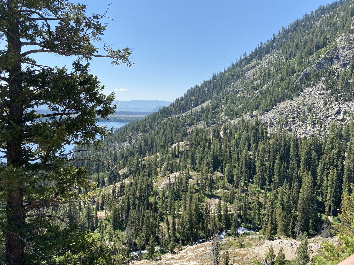 Ragrey27's tweet photo. Just back from two weeks in Yellowstone, Grand Tetons, and Jackson.   Just the recipe for the last year!   @GrandTetonNPS @YellowstoneNPS @JacksonHoleNews https://t.co/gq9PpQ6vkV