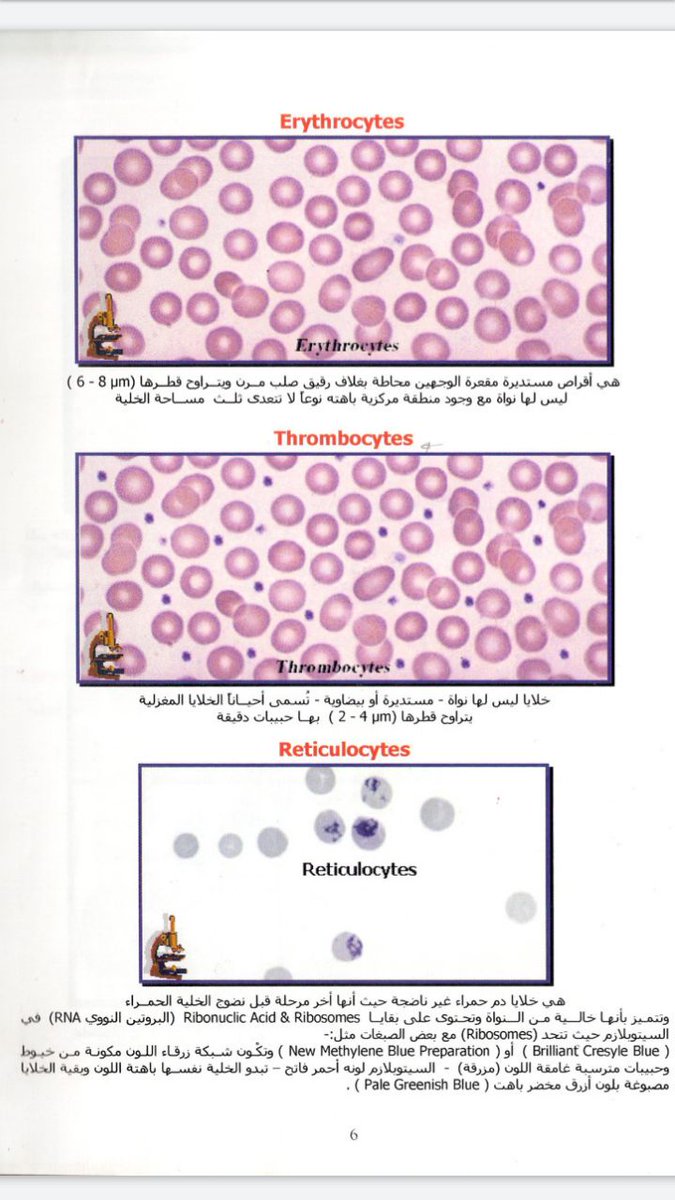 Ali57304202's tweet photo. #Erythrocytes
#Thrombocytes https://t.co/tjhYclbfc5