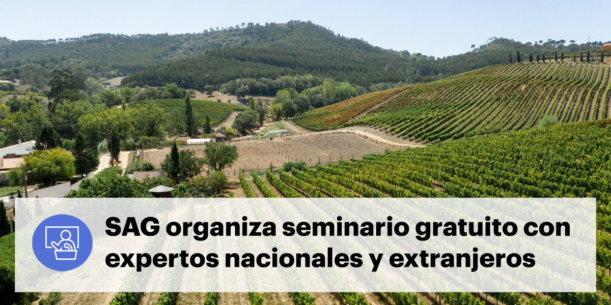 Drosu_Chile's tweet image. Ciclo de charlas sobre #Drosophilasuzukii organizado por el 
@sagchile se llevarán a cabo entre el 19 y el 28 de julio vía online con expositores nacionales e internacionales. Serán cinco sesiones gratuitas, pero con cupos limitados. Más info en el link

sag.gob.cl/noticias/sag-i…