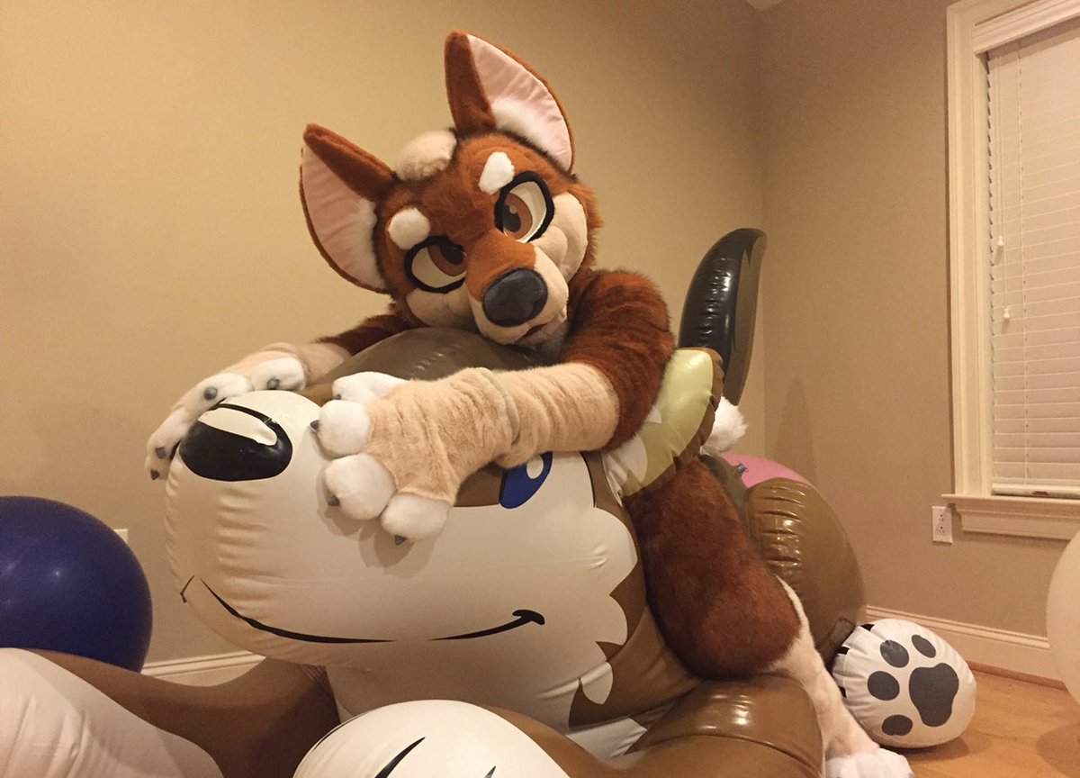 SqueakyKerberos's tweet photo. “I’m a real beach boy, come ride my wave” 😃🌊🎈😏

#FursuitFriday https://t.co/ndAxXY5q5E