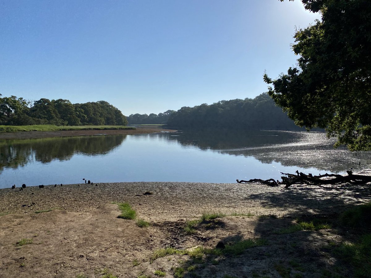 Back in UK for a few days and a gorgeous start with a few miles down the river Hamble 😍