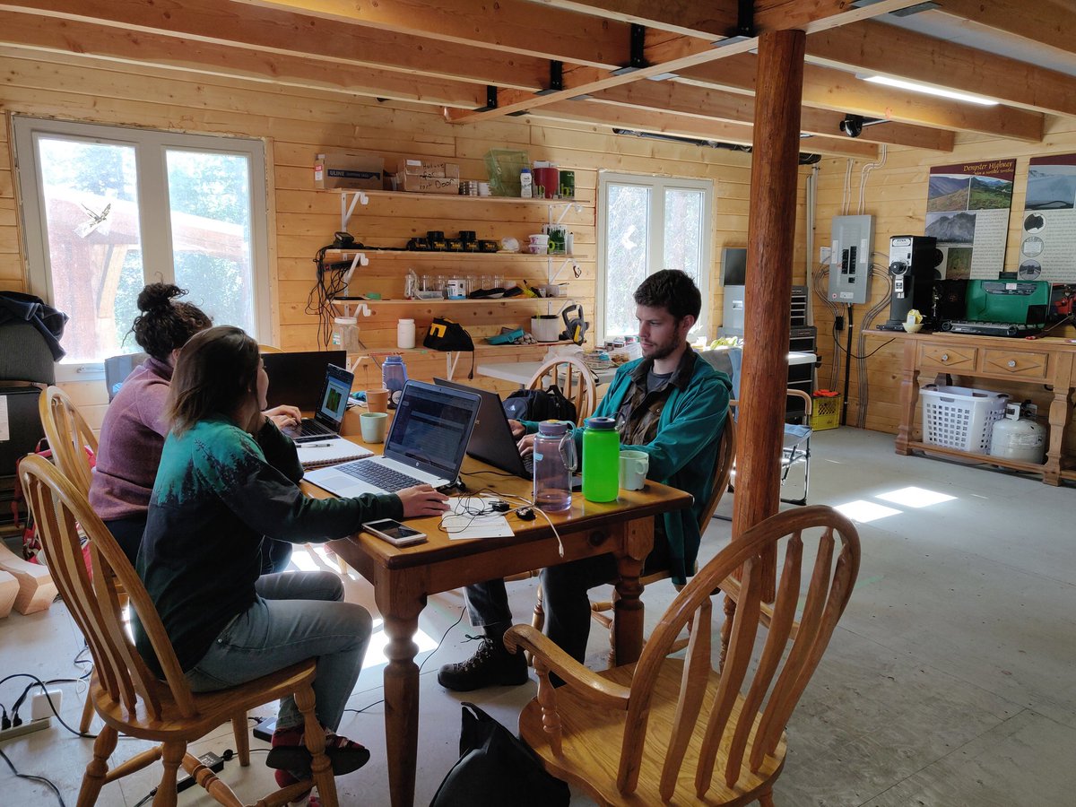 Emily L Ogden tweet media