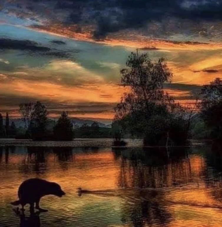 It was going to be photo of the year until...