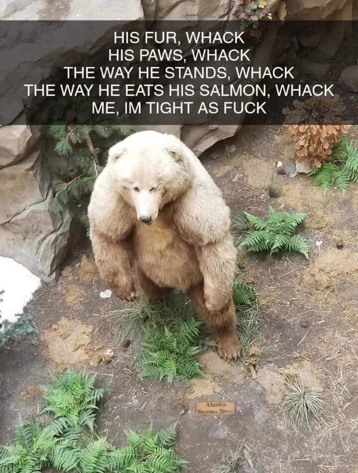 ᴛʜᴇ ɴɪɢɢᴀ ʏᴏᴜ ʟᴏᴠᴇ ᴛᴏ ʜᴀᴛᴇ (@chaclobro) on Twitter photo 