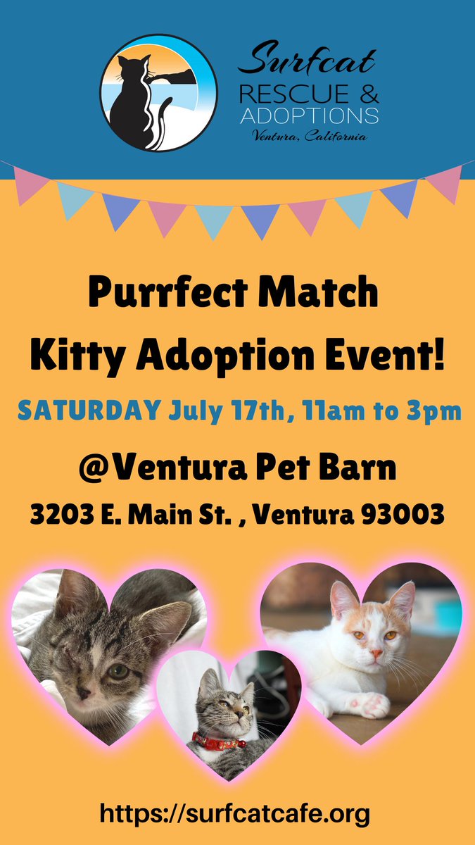 SurfcatCafe's tweet photo. We're back at @VenturaPetBarn with "eye kittens"!!! Come meet your new little family member!! https://t.co/dzKdBabhL0