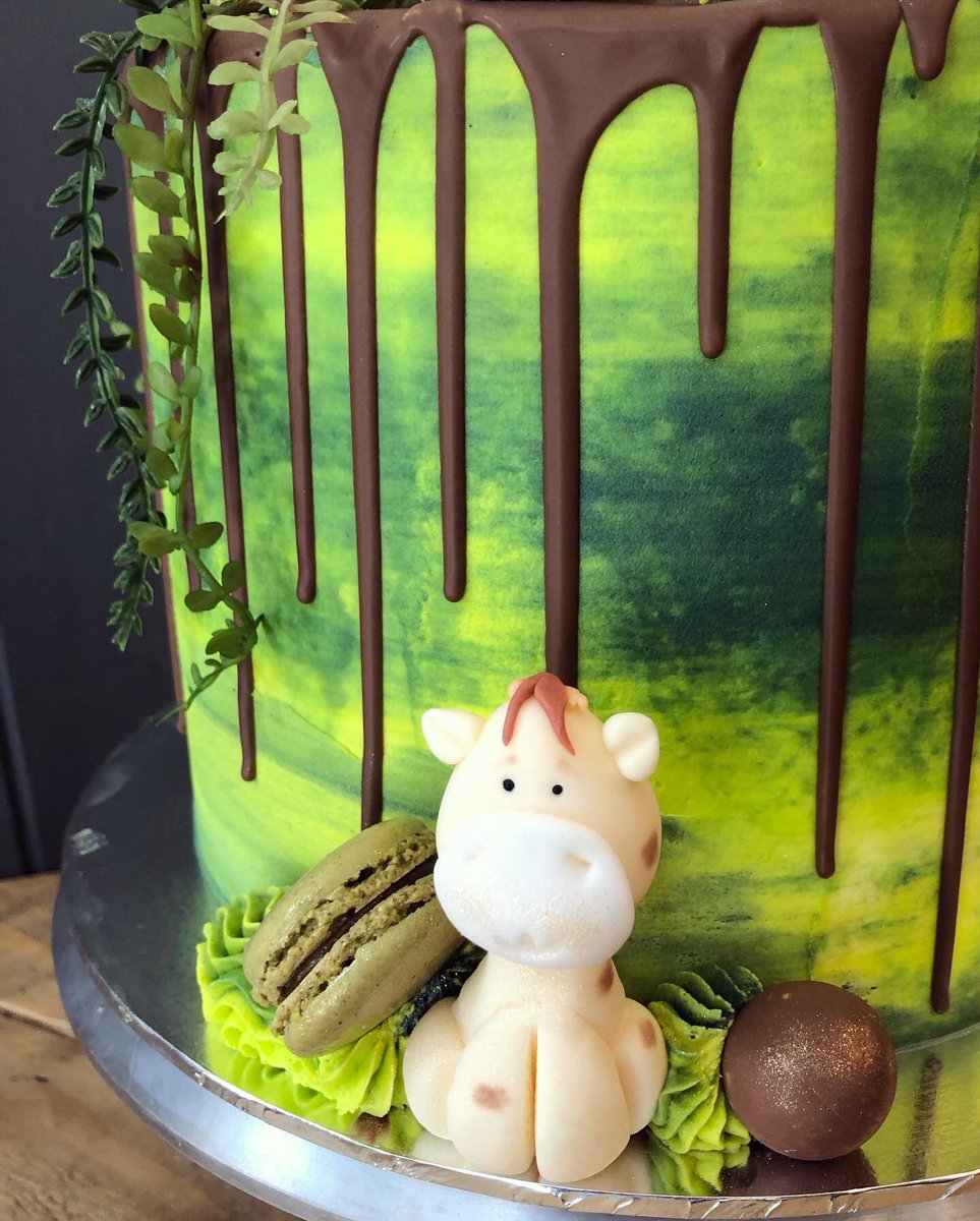 🌿🌵🦒🐘IN THE JUNGLE THE MIGHTY JUNGLE…. Lalalalala 🦁🦓🌵🌿