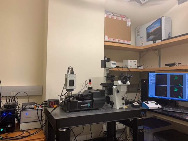 BioVisTech's tweet photo. @BioVisTech is happy to support @MblNeuro @MBLScience with #VT_iSIM and #VisiFRAP  #super_resolution as well as @CrestOptics X-Light V3 #confocal for people to learn on. Thanks to @ASIImaging and @Okolabgroup. We can't do it all alone. https://t.co/d2WnOJWfpc