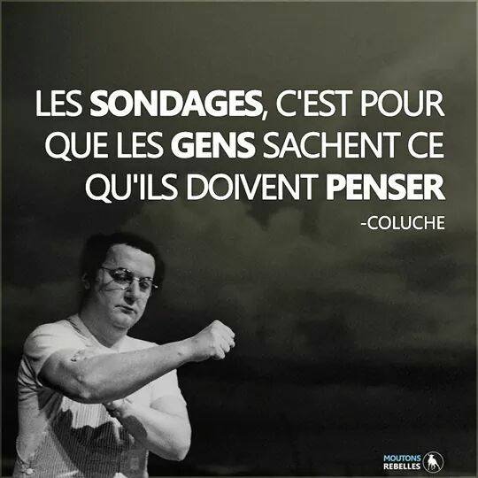 _noah_F1's tweet photo. @Mediavenir Les sondages ne valent plus rien https://t.co/TJX25NgJcB
