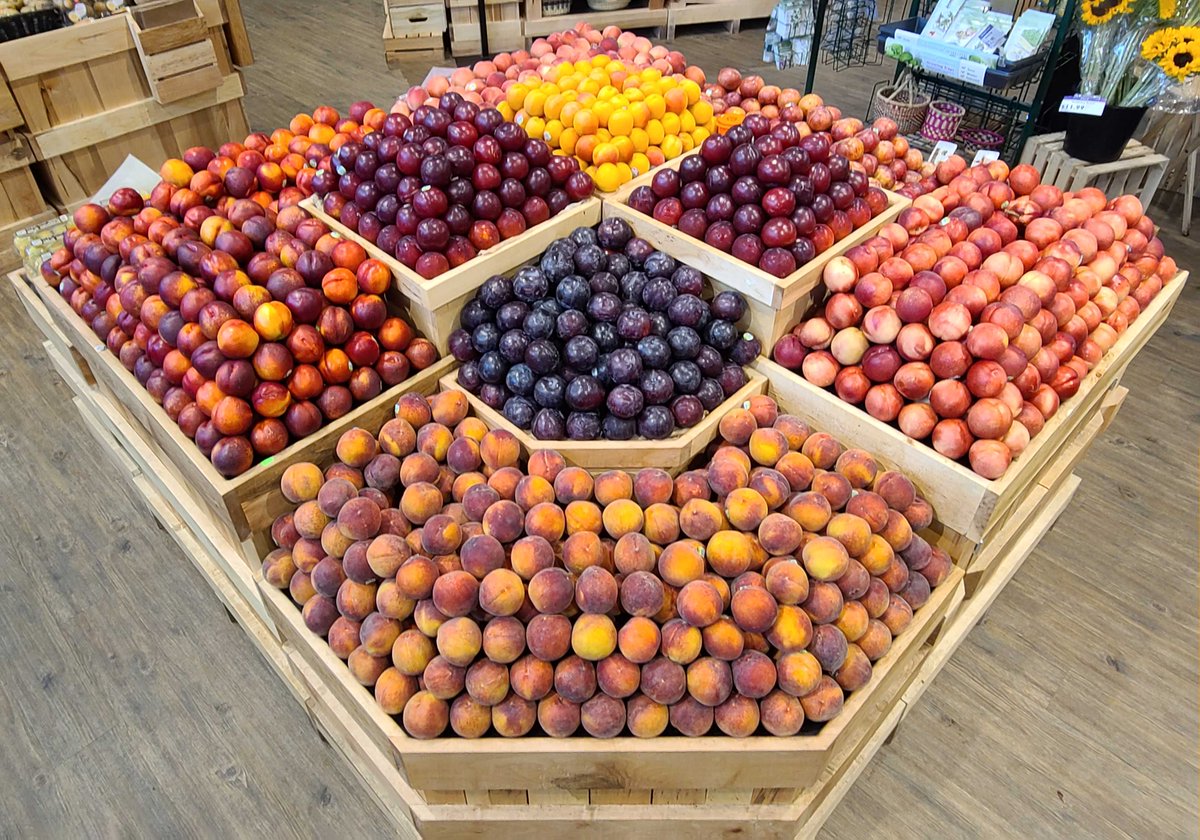 Organic Melons Outlook, Peak Season Specialty Stone Fruit - Market News 7/16
fsproduce.com/wp-content/upl…