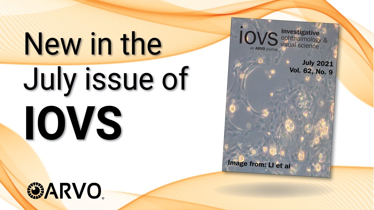 ARVOiovs's tweet photo. New and free tp read: “#Salidroside Prevents Hypoxia-Induced Human Retinal Microvascular Endothelial Cell Damage Via miR-138/ROBO4 Axis.”
Full article: https://t.co/XIftPv34Mx #antioxidants #retina #OpenAccess #Ophthalmology https://t.co/zHAc07LCJD