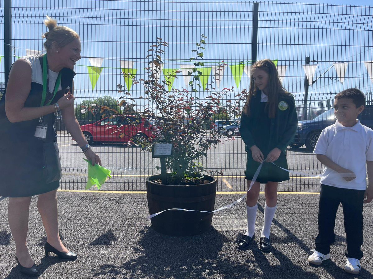 Amy Storer (@amy_storer4) on Twitter photo A huge thank you to @TransformCEO for coming and officially revealing our Covid Memorial Tree. A lasting memory of the challenges that have been faced but also the love, resilience and strength shown by our community.  #TogetherWeAreStronger A huge thank you to @TransformCEO for coming and officially revealing our Covid Memorial Tree. A lasting memory of the challenges that have been faced but also the love, resilience and strength shown by our community.  #TogetherWeAreStronger