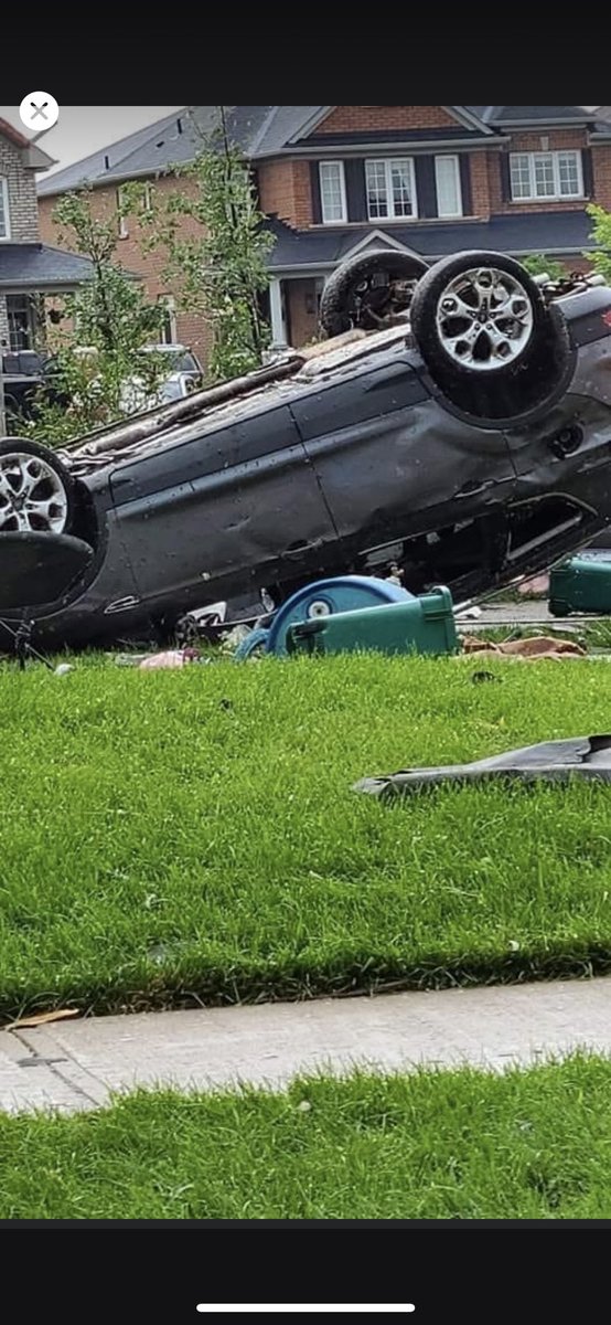 Organik - KOTDTV.com tweet media