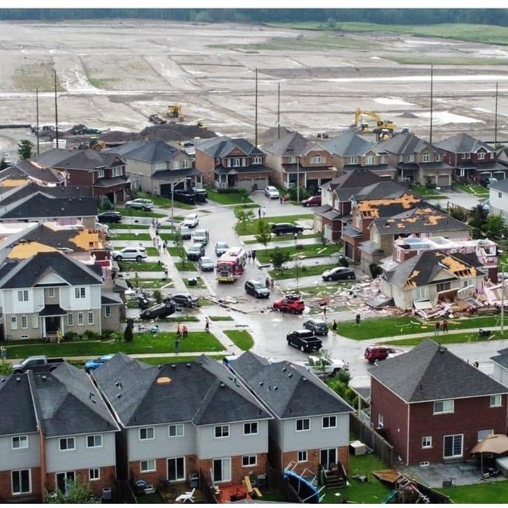 Organik - KOTDTV.com tweet media