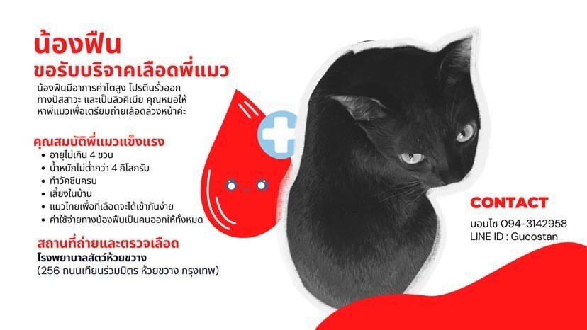 noturjohnny's tweet image. ทุกคนฝากรีด้วยค้าบ