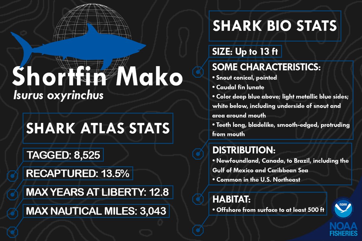 NOAAFish_NEFSC's tweet photo. Hope you enjoyed learning about sharks & our shark research during #SharkWeek! Please visit our website, follow us here & on Facebook for updates on all things sharks in our region! #SharkWeekNOAA #NEFSCScience
Website: https://t.co/jeeEehxfg1
Facebook: https://t.co/WXfHVn1MZc https://t.co/3V6GsUKEpn