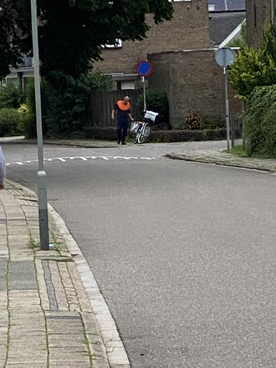 Dit is prachtig ondanks de ellende in <a href="/GemMeerssen/">Gemeente Meerssen</a> #evacuatie #wateroverlast <a href="/PostNL/">PostNL</a> 
Iedereen moet evacueren in Bunde maar de post wordt bezorgd #hartvoordezaak