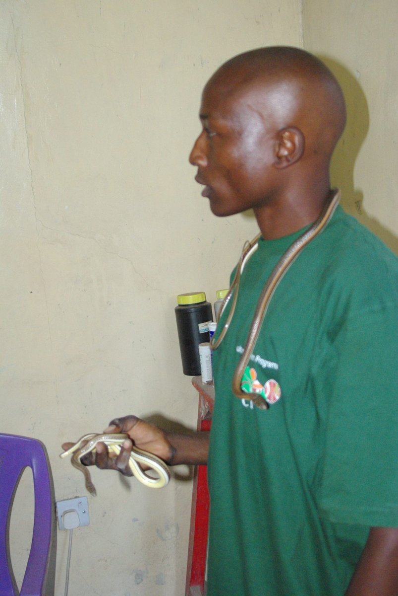 MtowambuCTE's tweet photo. Today is Snake World Day. If you live in Mto wa Mbu and you find snake (s) that is risk to human being and or domestic animals, call me for rescue. Snakes are very important to the environment.
Warning: Don’t hold or touch snake if you are not experienced expert. +255 745 001 830 https://t.co/QM1wjgnAeT