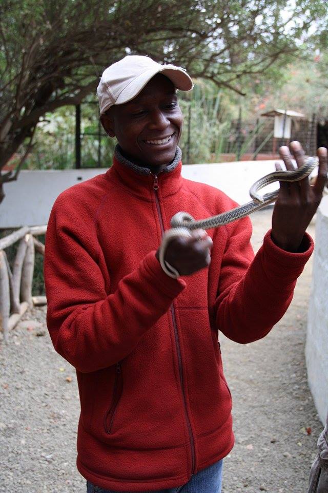 MtowambuCTE's tweet photo. Today is Snake World Day. If you live in Mto wa Mbu and you find snake (s) that is risk to human being and or domestic animals, call me for rescue. Snakes are very important to the environment.
Warning: Don’t hold or touch snake if you are not experienced expert. +255 745 001 830 https://t.co/QM1wjgnAeT