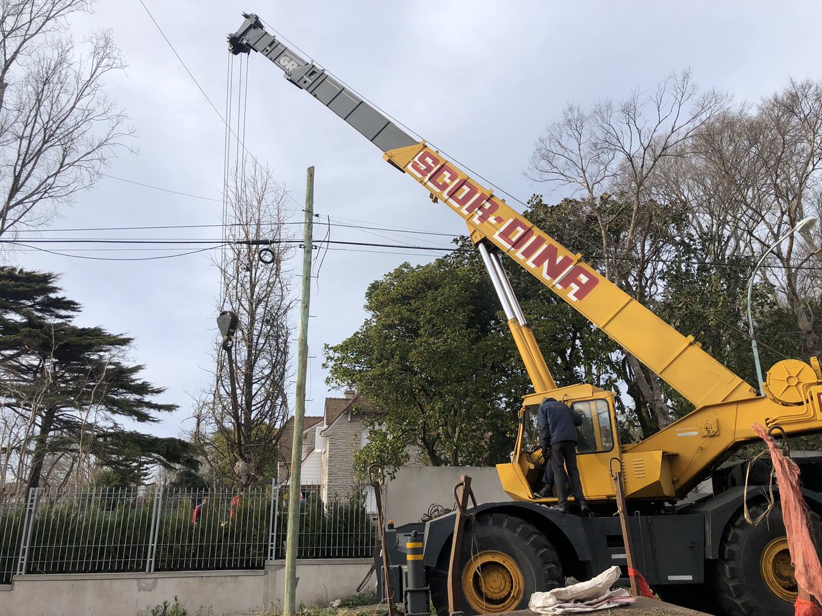 Euge Maiolino tweet media