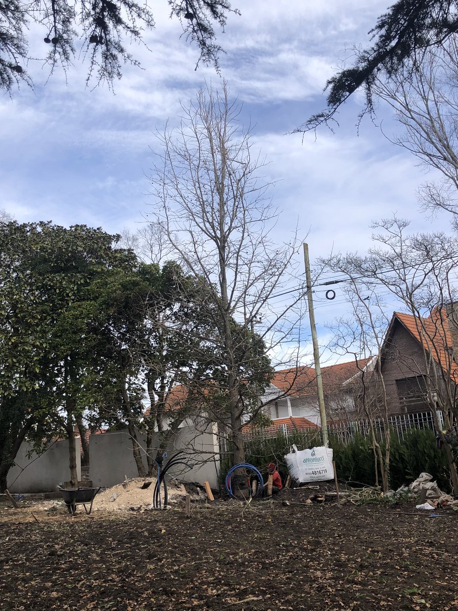 Euge Maiolino tweet media