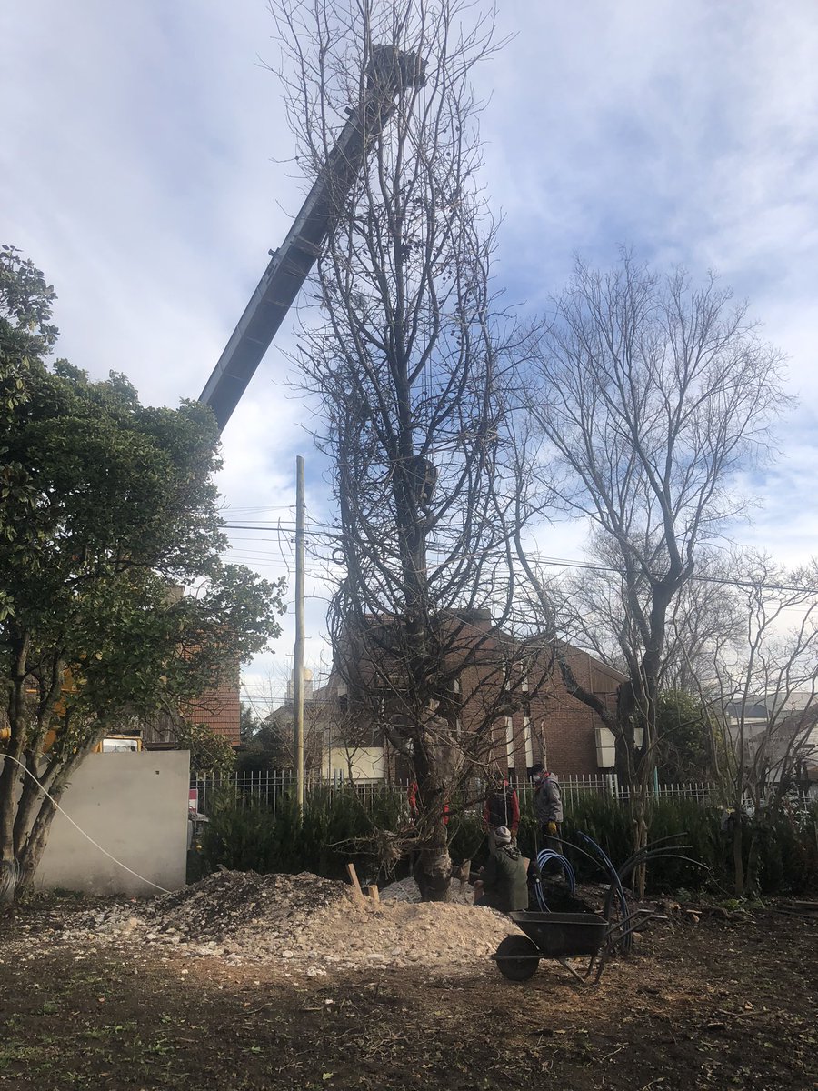 Euge Maiolino tweet media