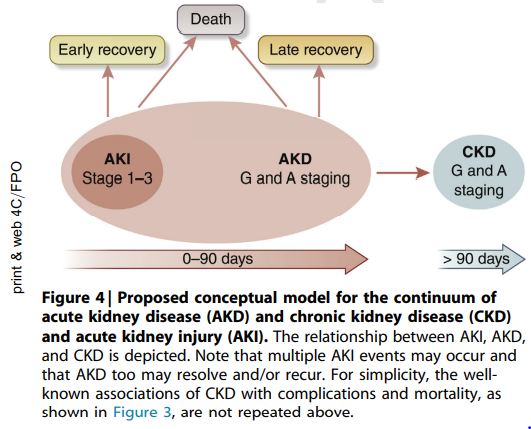 edgarvlermamd's tweet photo. Harmonizing acute and chronic kidney disease definition and classification: report of @goKDIGO Consensus Conference ca. 2021 #Nephpearls #KDIGOAKI

https://t.co/mJWVnGi66z https://t.co/6i3FcM7sRE