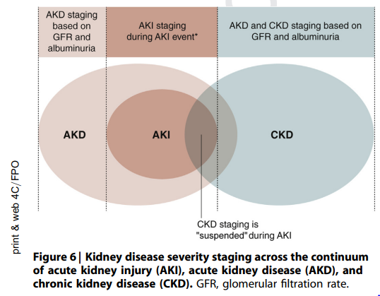 edgarvlermamd's tweet photo. Harmonizing acute and chronic kidney disease definition and classification: report of @goKDIGO Consensus Conference ca. 2021 #Nephpearls #KDIGOAKI

https://t.co/mJWVnGi66z https://t.co/6i3FcM7sRE