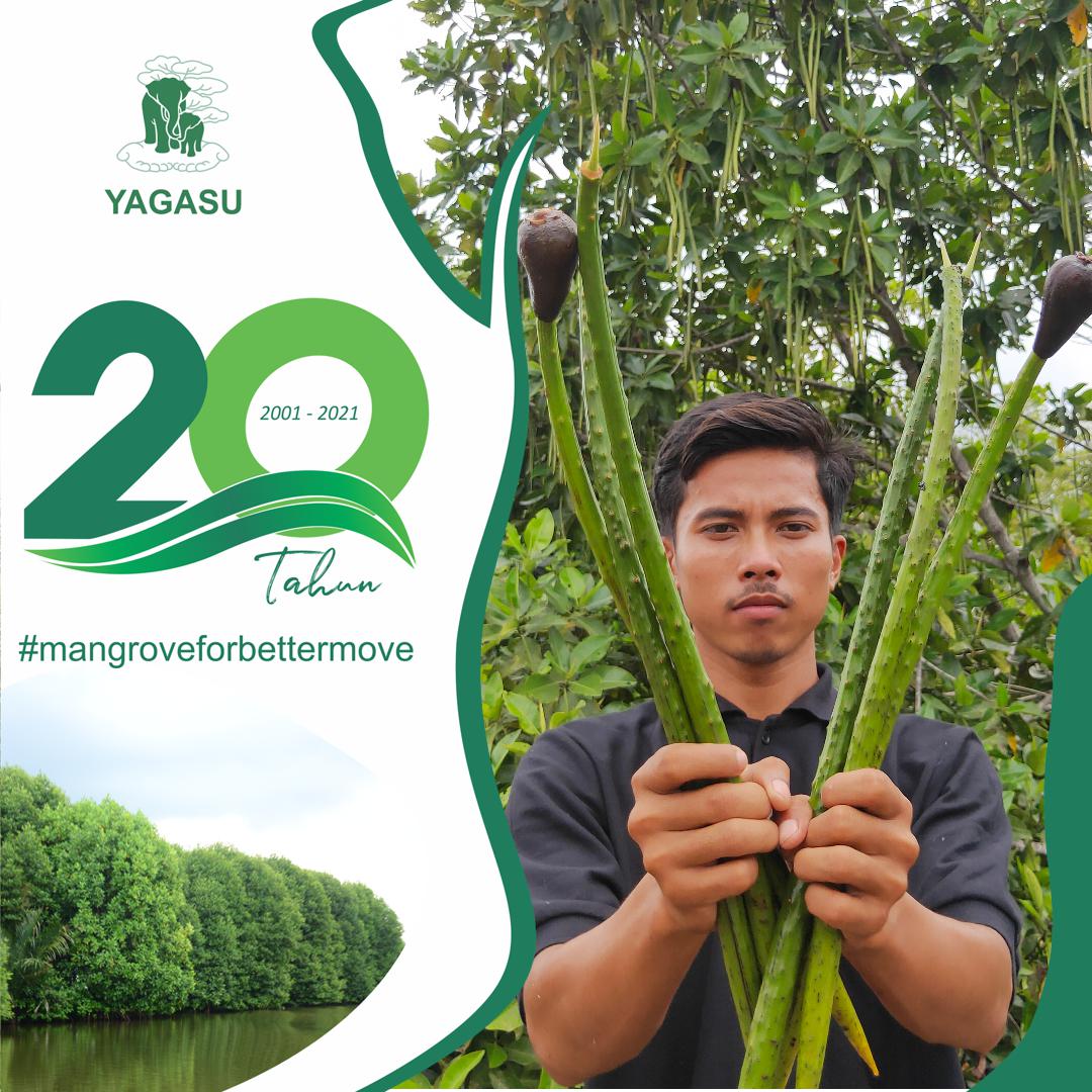 Menghijaukan bumi bersama Yagasu Aceh
#mangroveforbettermove
#20tahunYagasu

<a href="/yagasuaceh/">Yagasuaceh</a>