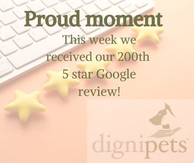 Dignipets's tweet photo. All we can say is thank you!
Your reviews give pet owners the confidence to reach out to us and ask for support during a difficult time. Feel free to ad yours on https://t.co/FoO1Iye0My โค #Dignipets #Dignipetsreviews #Dignipets5starreviews https://t.co/0fuPxCsWdm