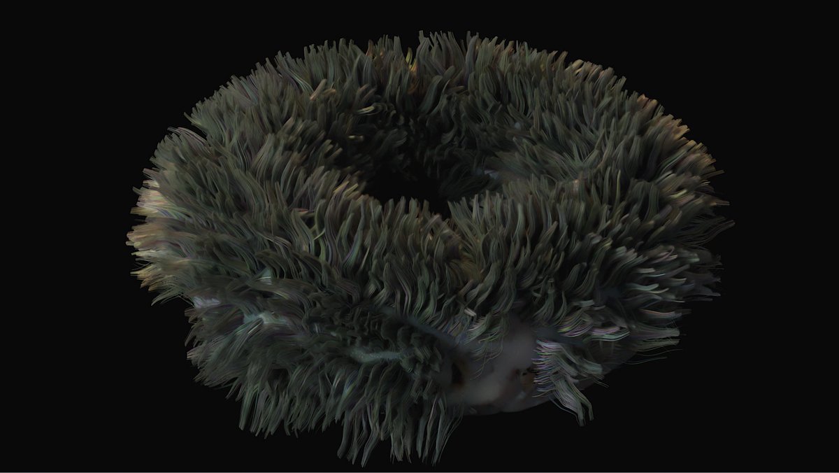jimmygunawanapp's tweet photo. #b3d #Donuts #ZombieDonut #RenderMan24 #RenderMan Work In Progressโฆ https://t.co/HH1SBvhZx4