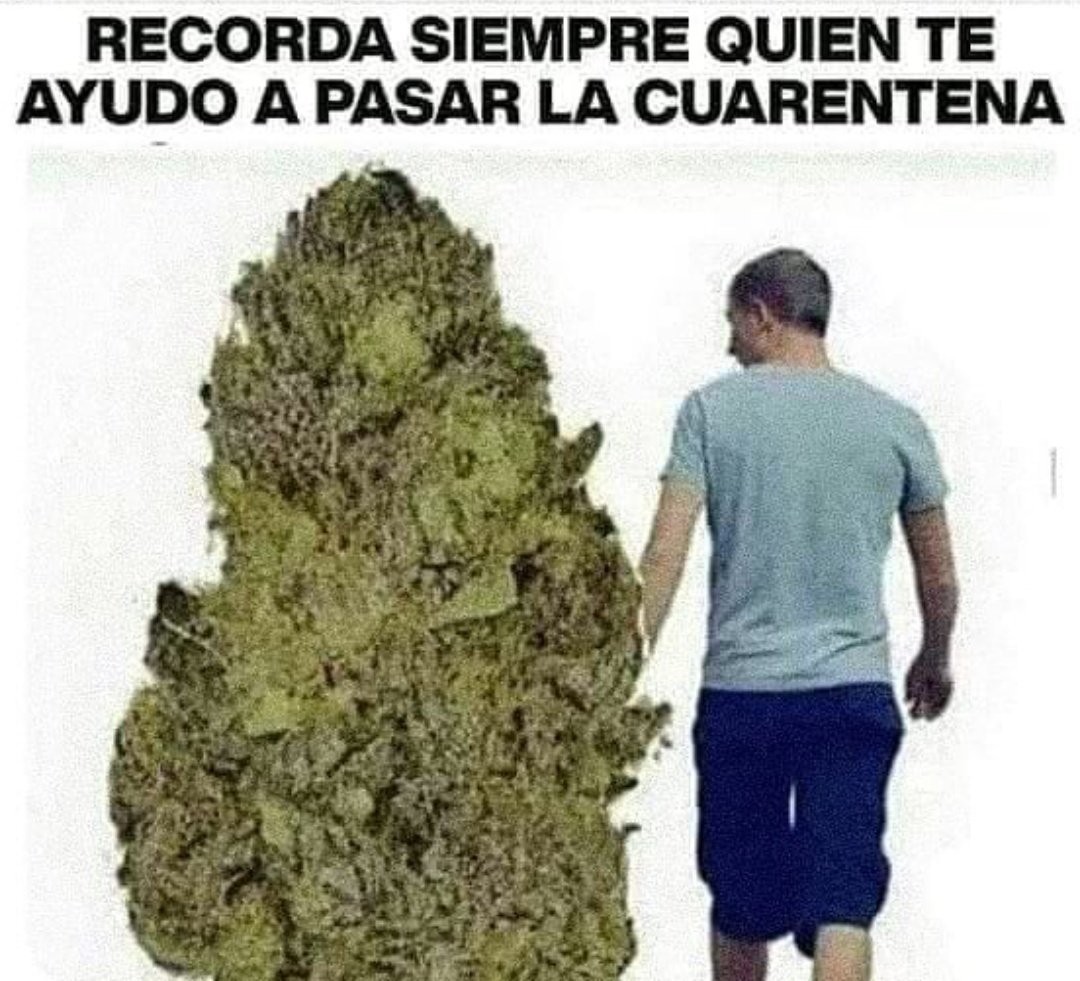 Nachon’t (@_nachofgt) on Twitter photo 