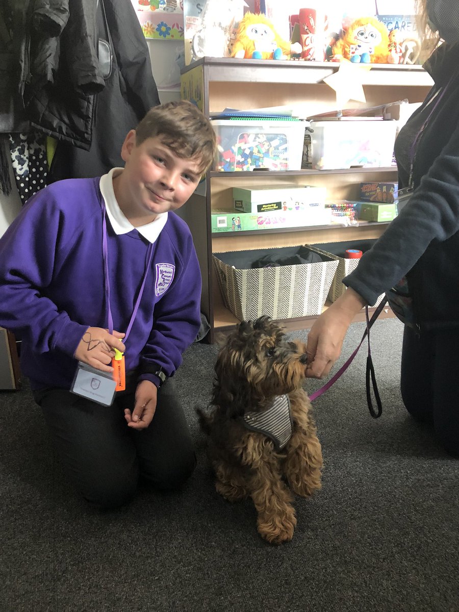 Elsa , our youngest therapy dog , came for a visit this week.   Thomas has been a brilliant dog therapy assistant <a href="/NorthwoodCPS/">Northwood Community Primary School</a>