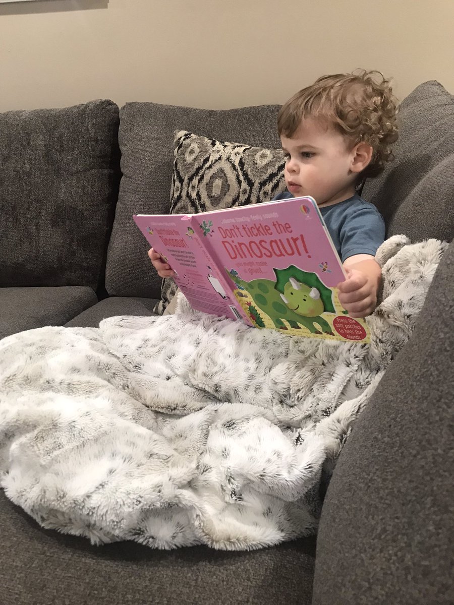 I’ve hit a major reading slump this summer BUT this adorable 1.5 year old is keeping the reading streak alive in the Alis household 😂😂 This makes my ELA teacher/mama heart so happy! “Read” is a new word in his vocab #weROAR2 #summerbreak #summerreading