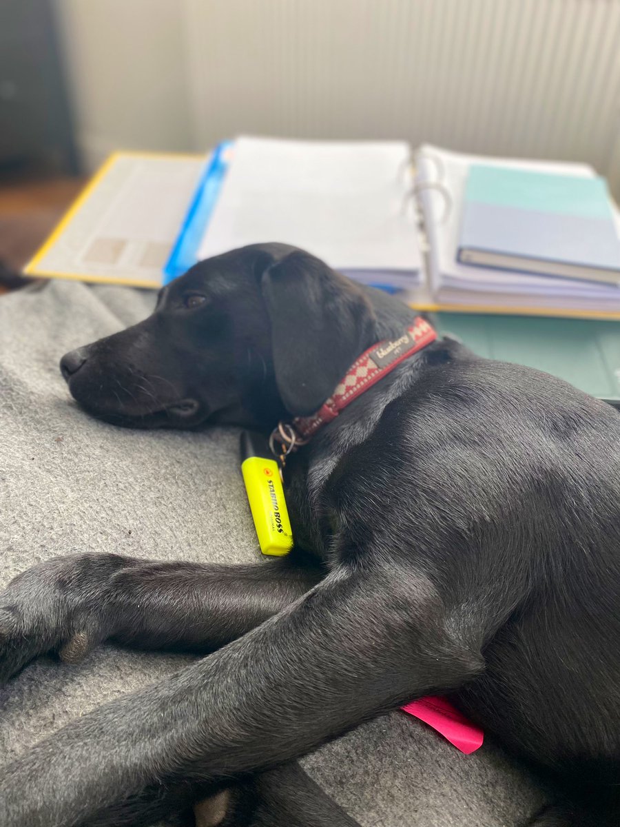 Someone is trying to communicate that this Friday’s planning session must surely soon be over to get out into the sunshine!