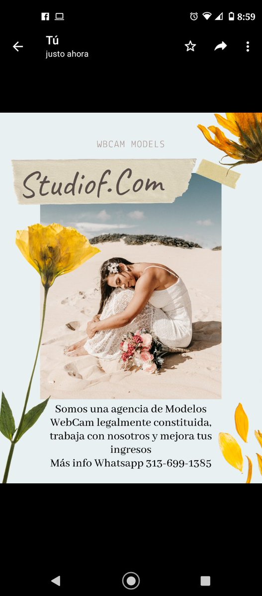 AlexaStudiof tweet picture