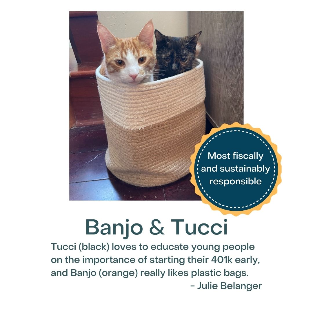 DuxFreeLib's tweet image. VIRTUAL PET SHOW! Featured today are Banjo &amp;amp; Tucci, Banksy, and GusGusMcGuirk. #tailsandtales #duxburyma