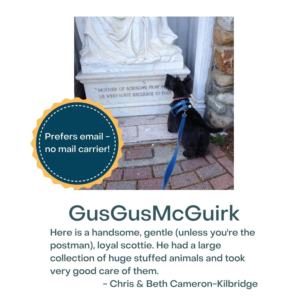 DuxFreeLib's tweet image. VIRTUAL PET SHOW! Featured today are Banjo &amp;amp; Tucci, Banksy, and GusGusMcGuirk. #tailsandtales #duxburyma