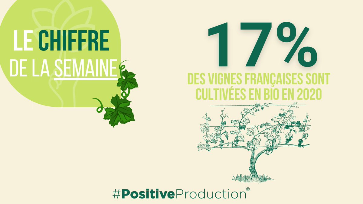 [ #ChiffreDeLaSemaine ] 
🍇🇫🇷17% des #vignes françaises sont cultivées en bio en 2020, qu’elles soient certifiées ou en conversion. 
🔗7 chiffres à retenir sur la #viticulture bio en 2020 : bit.ly/2VKQM17 via <a href="/VigneReussir/">Reussir Vigne</a> 
#PositiveProduction