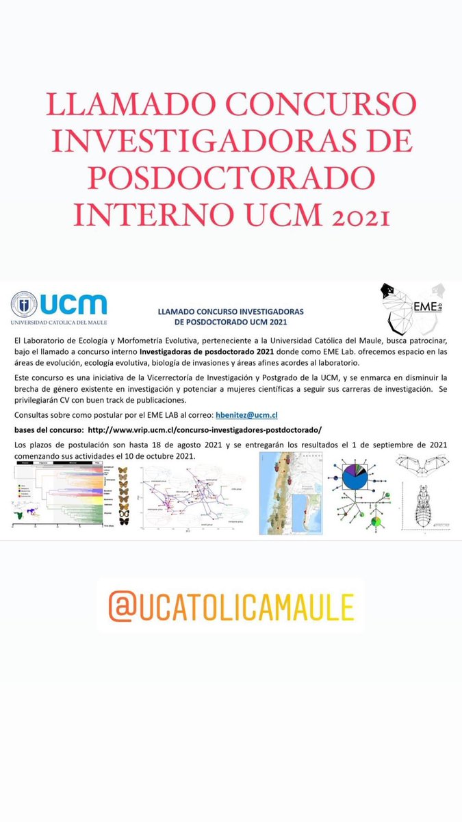 HugoBenitezd's tweet photo. The @ucatolicamaule have 2 posdoctoral options 1 internal and another option by Fondecyt ANID our LAB https://t.co/AzmJxtFkM3 do not hesitate to write me if you’re interested in apply we have research in #evolution #morphometrics #phylogeography #migrations #biological_invasions https://t.co/hKdl3LxNCl