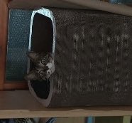 아오 비슷하네ㅋㅋㅋㅋㅋㅋㅋㅋㅋㅋㅋㅋㅋㅋㅋㅋㅋㅋㅋㅋㅋㅋㅋㅋ